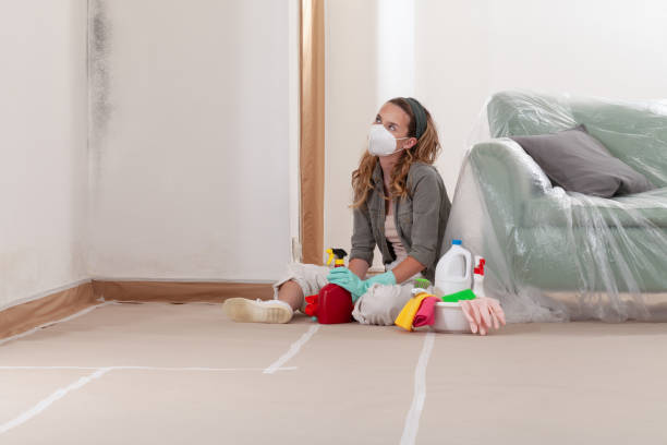 Reliable Mold Remediation contractor in Spotsylvania, VA by Car Mold Remediation